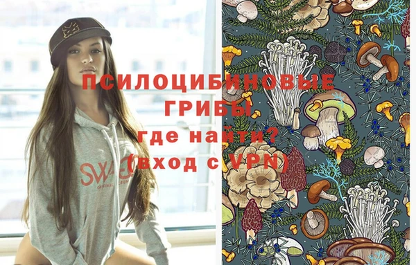 героин Алексин
