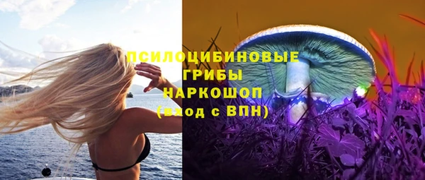 героин Алексин